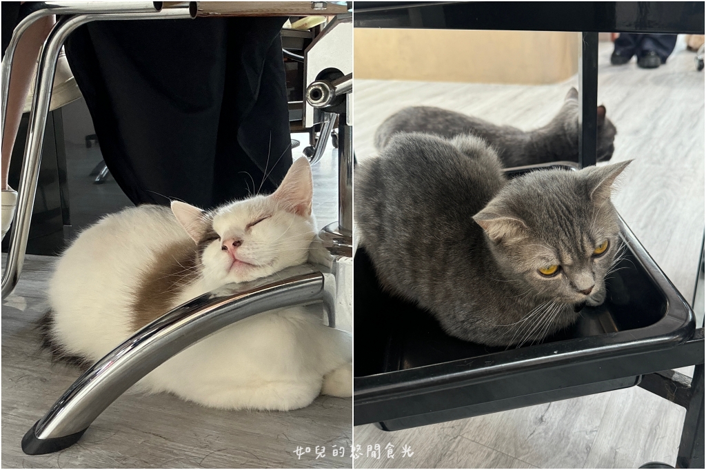 VS hair｜輕鬆打造自然蓬度，與分線說掰掰，專業髮根燙/質感染髮找Vicky寵物友善髮廊｜西屯剪燙護髮/台中美髮推薦