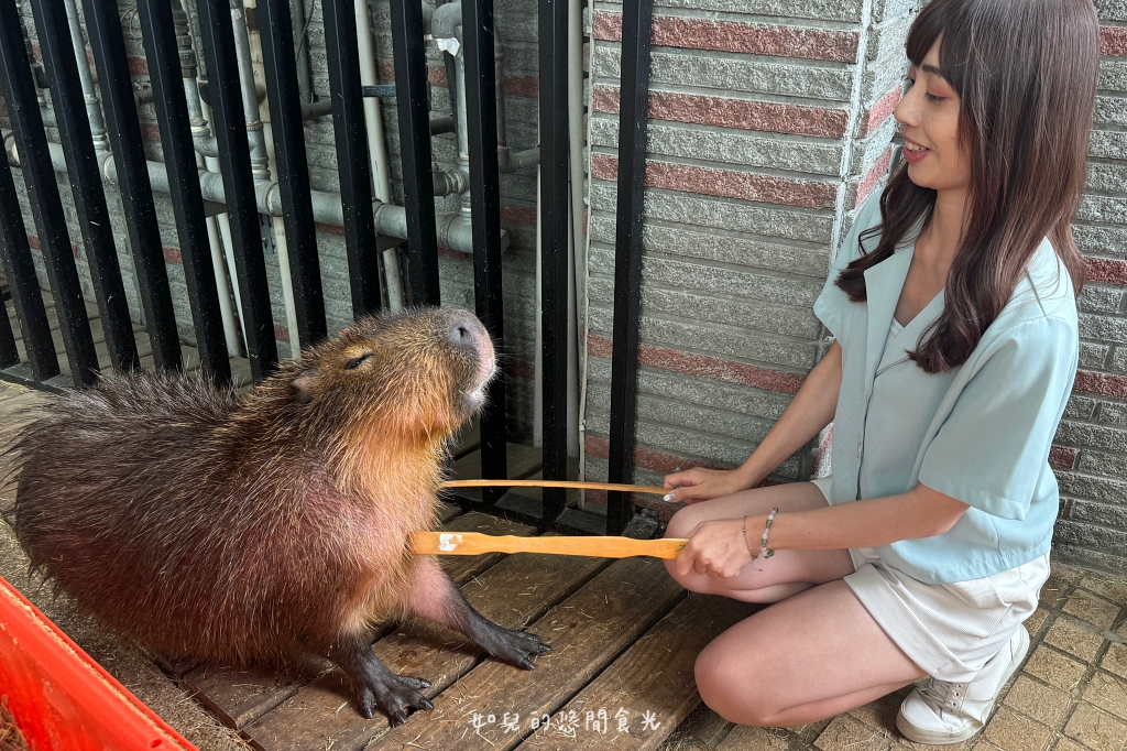 VS hair｜輕鬆打造自然蓬度，與分線說掰掰，專業髮根燙/質感染髮找Vicky寵物友善髮廊｜西屯剪燙護髮/台中美髮推薦