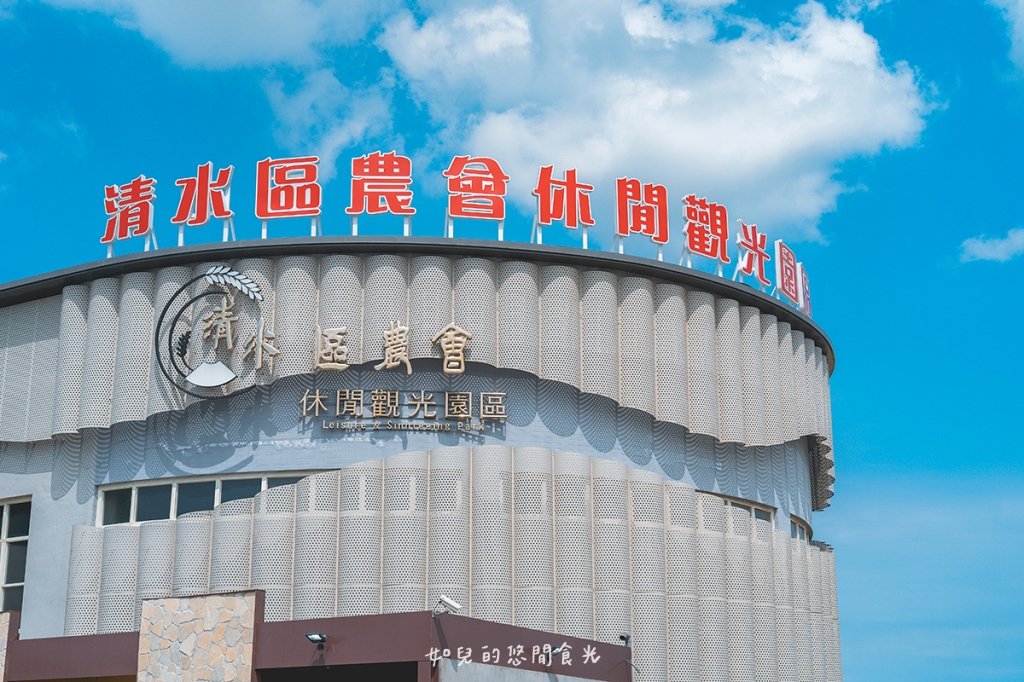 港風海線小旅行｜串連海洋館/舶來品商圈，最新遊程吃喝玩樂通通有｜台中清水梧棲一日遊景點行程分享/旅遊懶人包推薦