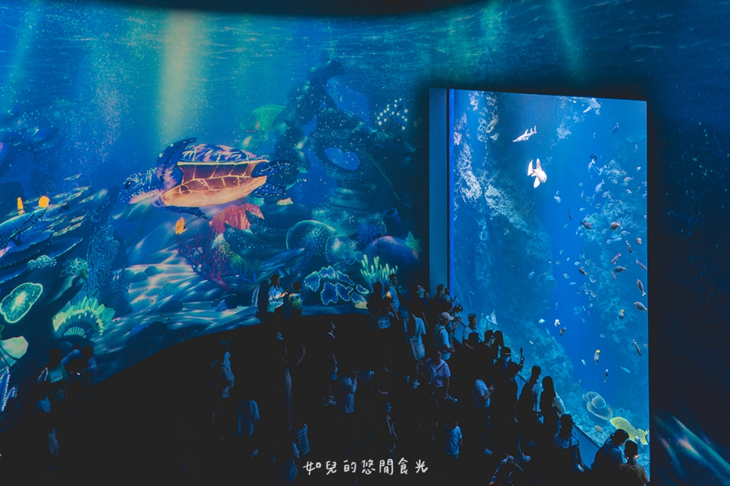 港風海線小旅行｜串連海洋館/舶來品商圈，最新遊程吃喝玩樂通通有｜台中清水梧棲一日遊景點行程分享/旅遊懶人包推薦