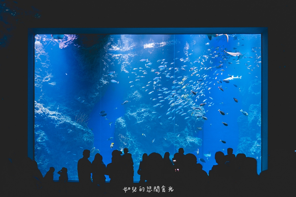 港風海線小旅行｜串連海洋館/舶來品商圈，最新遊程吃喝玩樂通通有｜台中清水梧棲一日遊景點行程分享/旅遊懶人包推薦