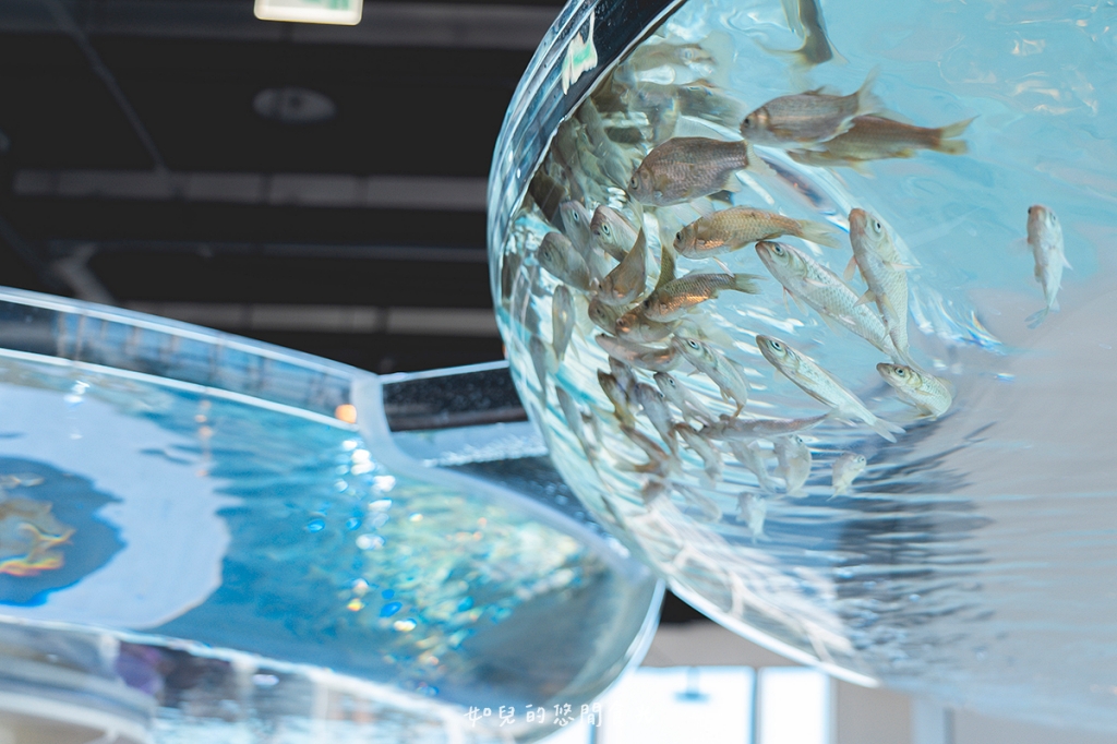 港風海線小旅行｜串連海洋館/舶來品商圈，最新遊程吃喝玩樂通通有｜台中清水梧棲一日遊景點行程分享/旅遊懶人包推薦