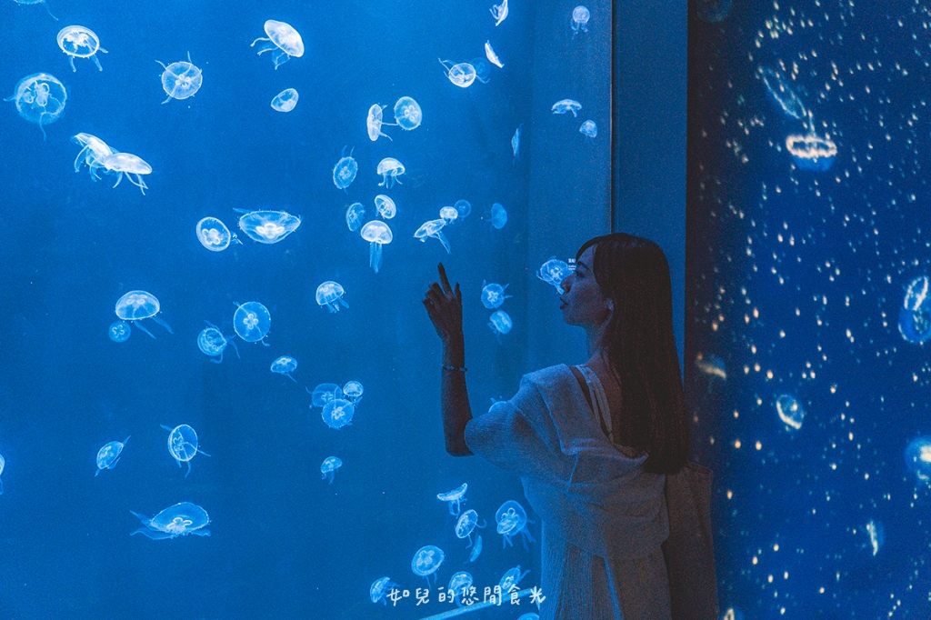 港風海線小旅行｜串連海洋館/舶來品商圈，最新遊程吃喝玩樂通通有｜台中清水梧棲一日遊景點行程分享/旅遊懶人包推薦