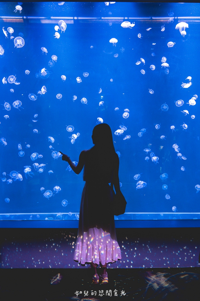 港風海線小旅行｜串連海洋館/舶來品商圈，最新遊程吃喝玩樂通通有｜台中清水梧棲一日遊景點行程分享/旅遊懶人包推薦