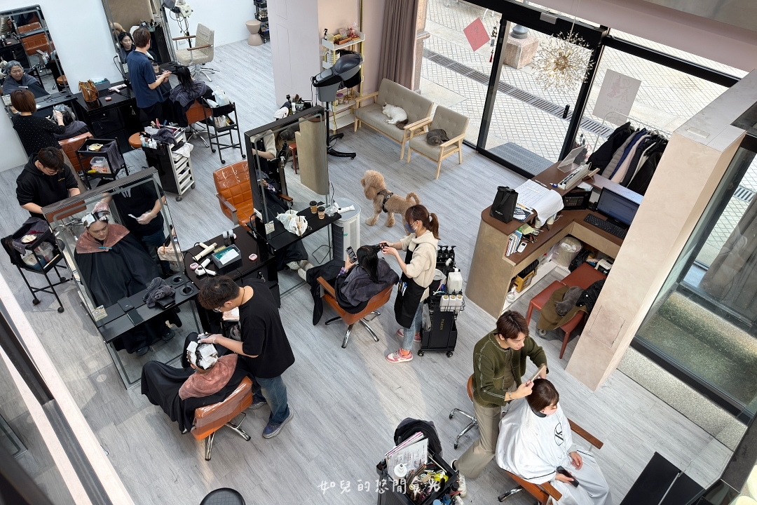 VS hair|2026護髮推薦,染燙後必做x受損髮救星「京喚羽護髮」|寵物友善髮廊/西屯剪燙護髮/台中美髮推薦 VS hair|2026護髮推薦,染燙後必做x受損髮救星「京喚羽護髮」|寵物友善髮廊/西屯剪燙護髮/台中美髮推薦