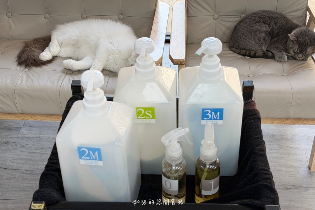 VS hair|2026護髮推薦,染燙後必做x受損髮救星「京喚羽護髮」|寵物友善髮廊/西屯剪燙護髮/台中美髮推薦 VS hair|2026護髮推薦,染燙後必做x受損髮救星「京喚羽護髮」|寵物友善髮廊/西屯剪燙護髮/台中美髮推薦