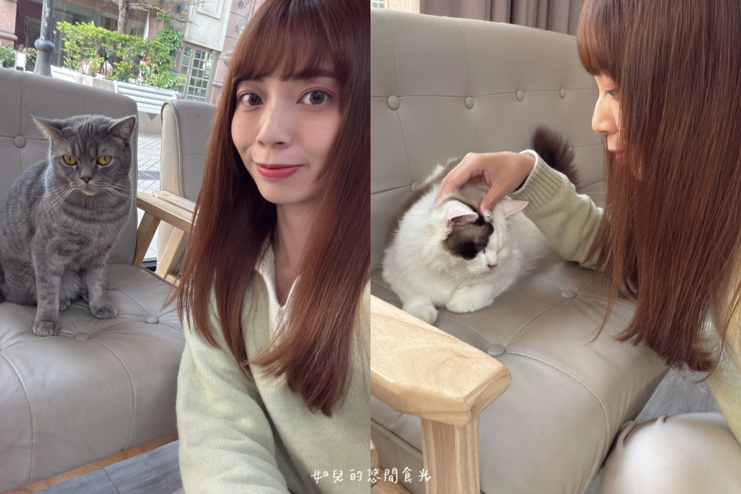 VS hair|2026護髮推薦,染燙後必做x受損髮救星「京喚羽護髮」|寵物友善髮廊/西屯剪燙護髮/台中美髮推薦 VS hair|2026護髮推薦,染燙後必做x受損髮救星「京喚羽護髮」|寵物友善髮廊/西屯剪燙護髮/台中美髮推薦