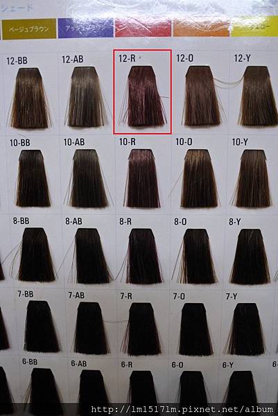 VS Hair (7).jpg