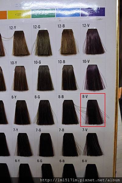 VS Hair (8).jpg